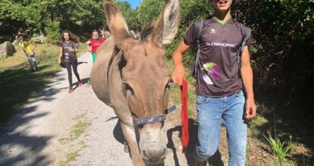 Miccio_Amiatino_slowhorse_01