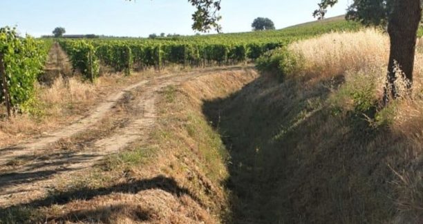 Montalcino_Lavori_CB6_Val_di_Cava_01