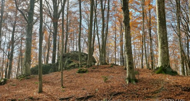 Monte_Amiata_20201030_110801