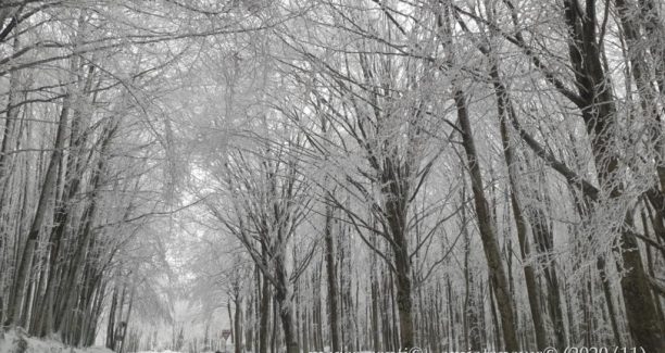 Monte_Amiata_20201121_112917