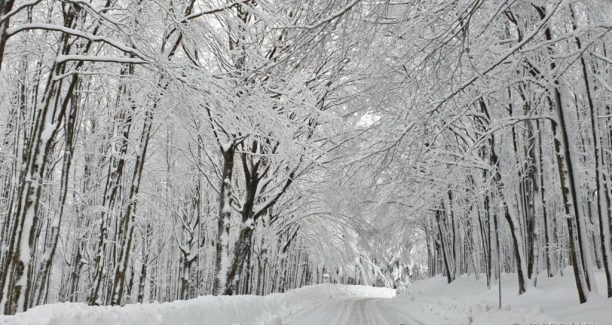 Monte_Amiata_20201230_151329