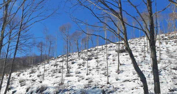 Monte_Amiata_20210114_110428