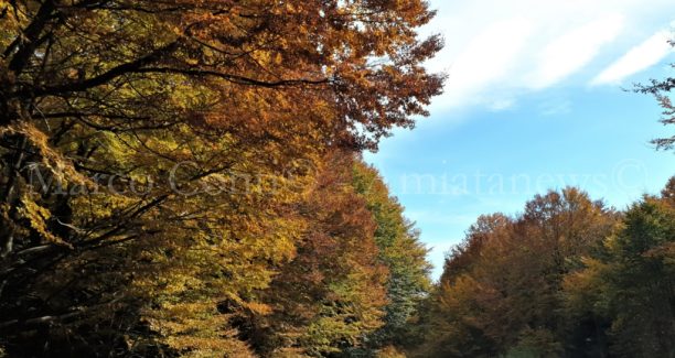 Monte_Amiata_20211024_125507