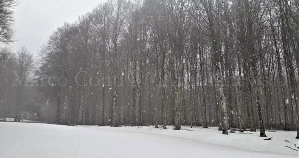 Monte_Amiata_20220213