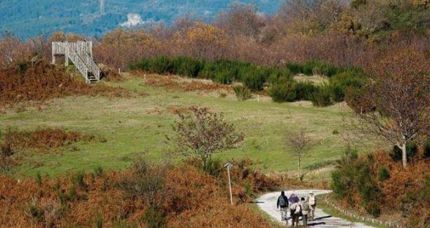 Monte_Amiata_Arcidosso_Parco_Faunistico_01