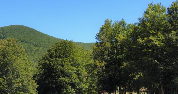 Monte_Amiata_Prato_Macinaie_20190815_150200