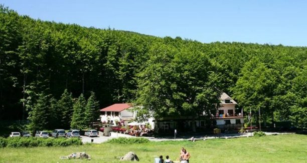Monte_Amiata_Prato_della_Contessa_01