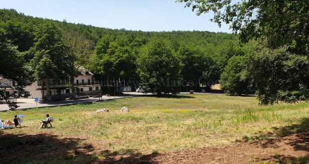 Monte_Amiata_Prato_della_Contessa_20220704_141133