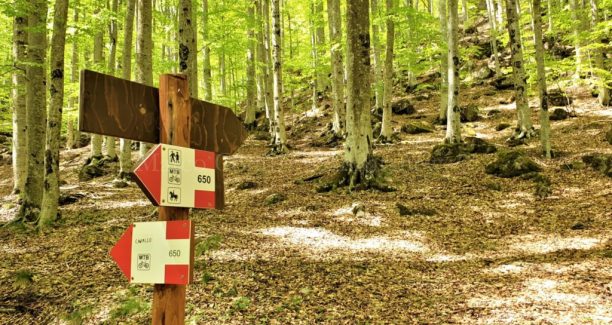 Monte_Amiata_Sentieristica_20220512_144434