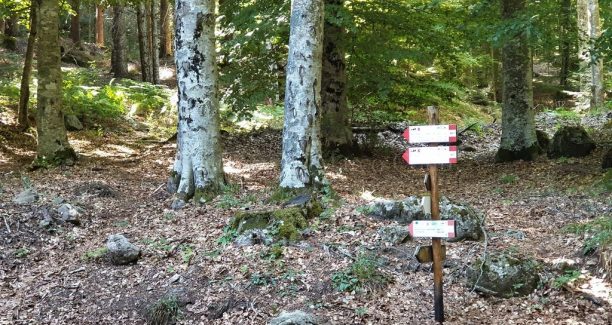 Monte_Amiata_Sentieristica_20220713_101618