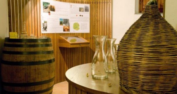 Montenero_dOrcia_Museo_dell_Vite_e_del_Vino_02