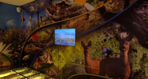 Monticiano_Museo_della_Biodiversità_01