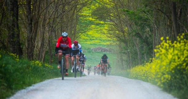 Nova_Eroica_20190428_185248