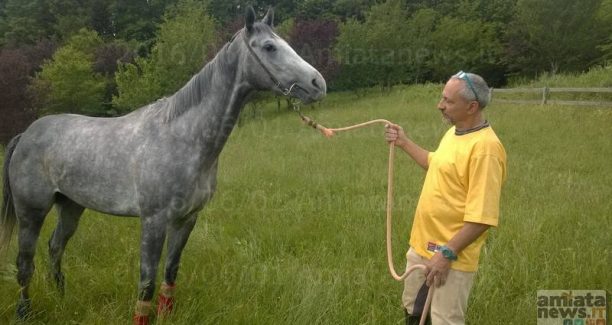 Passione_Cavallo_Piero_Giorgeschi_Sorriso_WP_20160601_010
