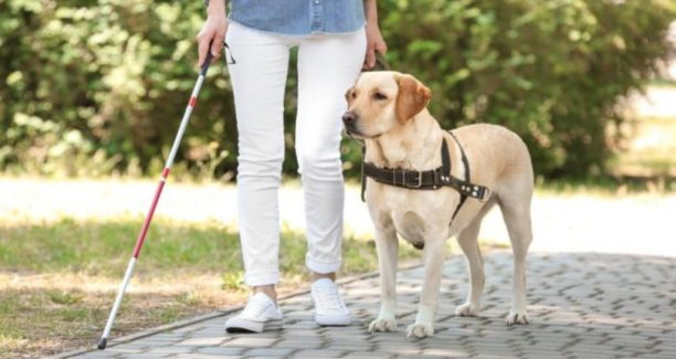 PhotoPictureResizer_191010_221016250-1024x683-1024x650