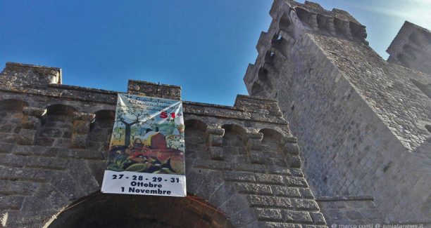 Piancastagnaio_Crastatone_2017_cartelli_IMG_20171013_163509