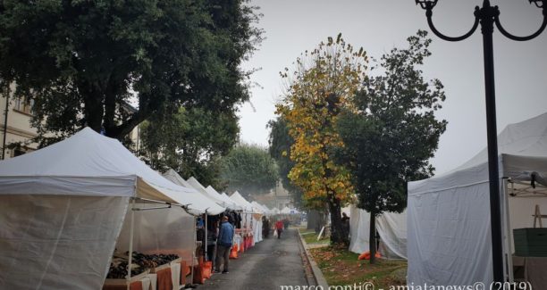 Piancastagnaio_Crastatone_2019_20191031_110356