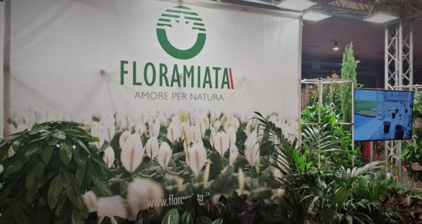 Piancastagnaio_Floramiata_Flormart_2019_20190926_120331