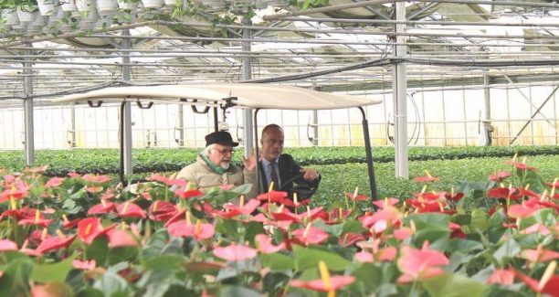 Piancastagnaio_Floramiata_Linea_Verde_20171221_IMG_0134