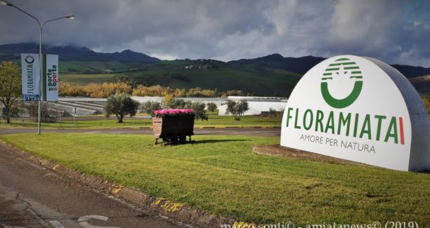 Piancastagnaio_Floramiata_Porte_Aperte_2019_20191109_095011