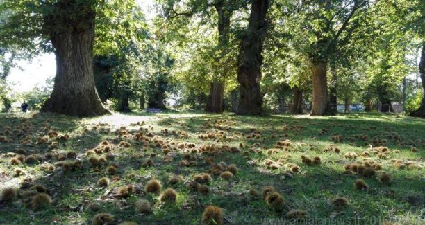 piancastagnaio_img_20161004_155812