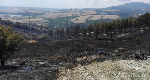 Piancastagnaio_Incendio_IMG_20170710_121419