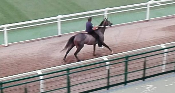 Piancastagnaio_Palio_2016_Prove_Borgo_IMG_20160805_200551
