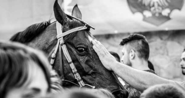 Piancastagnaio_Palio_2019_Corsa_20190818_22_01
