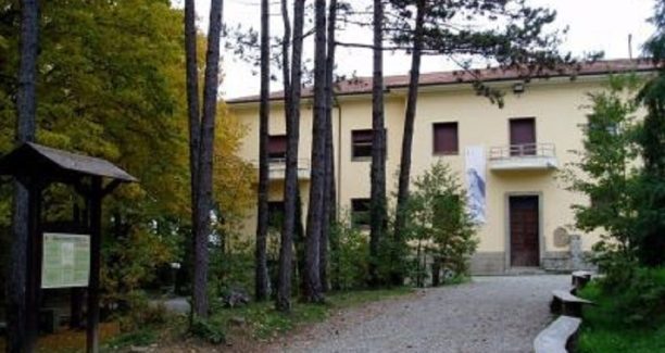 Pigelleto2-800~2026-01-12-15-18-13-222~cache