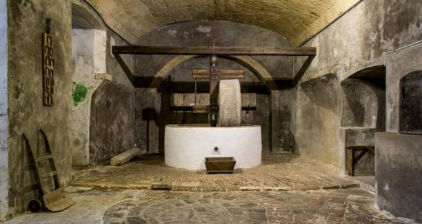 Pitigliano_cantina_frantoio_03