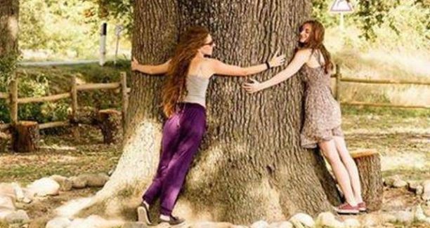 Quercia_dell_Checche_100