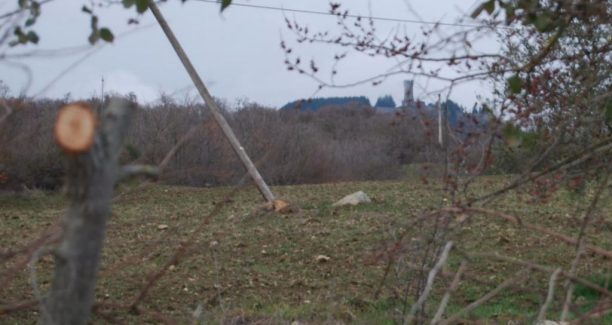 Radicofani_Tenuta_Scaldasole_01
