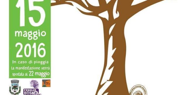 Rimboschiamoci_le_maniche_20160515_copertina