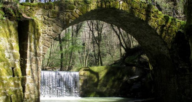 Riserva_Naturale_Monte_Rufeno_01