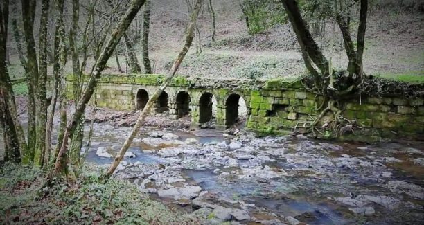 San_Qurico_di_Sorano_Foresta_Vitozza_01