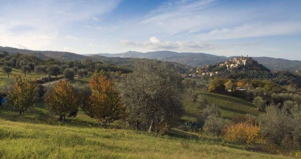 Seggiano_02