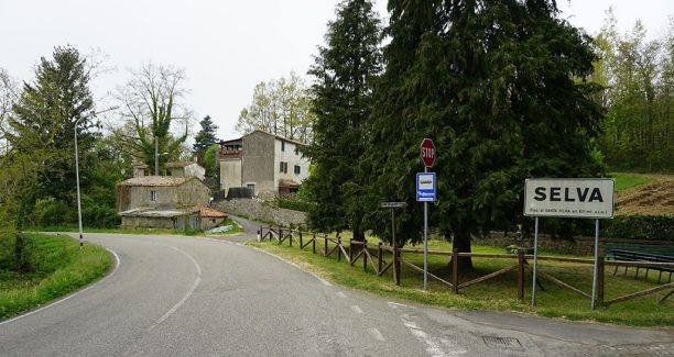 Selva di Santa Fiora