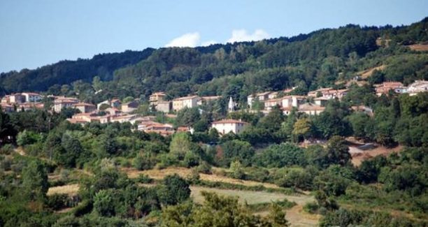 Selvena_01