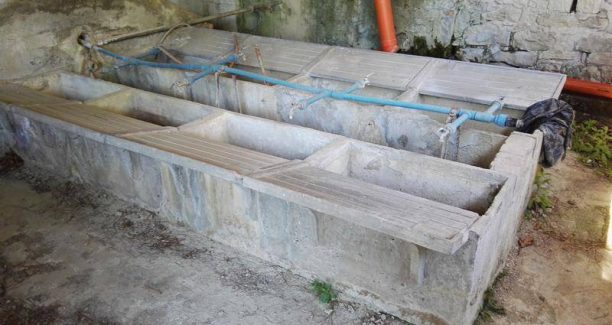 Stribugliano_pozzi_lavatoi_tolti_01_01