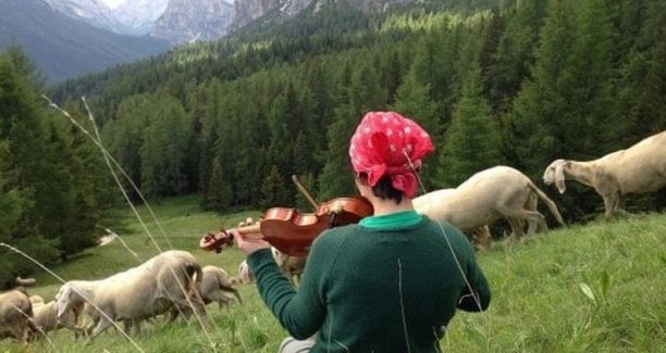 Transumanza_pecore_e_violinista_01