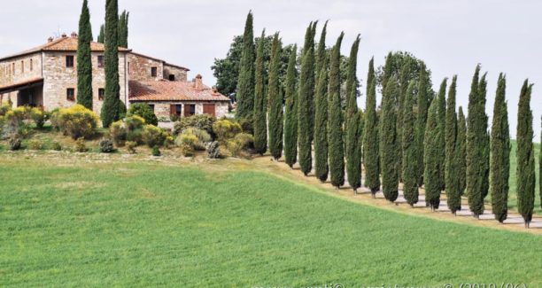 Val_dOrcia_20190621__DSC0469