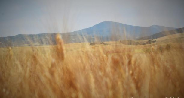 Val_dOrcia_20190621__DSC0488