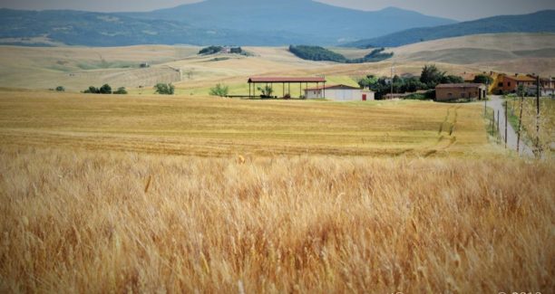 Val_dOrcia_20190621__DSC0490
