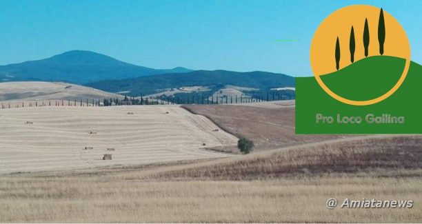 Val_dOrcia_Logo_Pro_Loco_Gallina_01