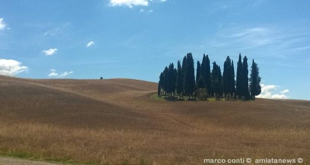 Val_dOrcia_WP_20160621_023