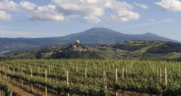 Val_dOrcia_vigneti_03