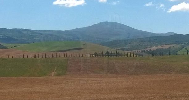 Val_d_Orcia_Amiata_WP_20160621_019
