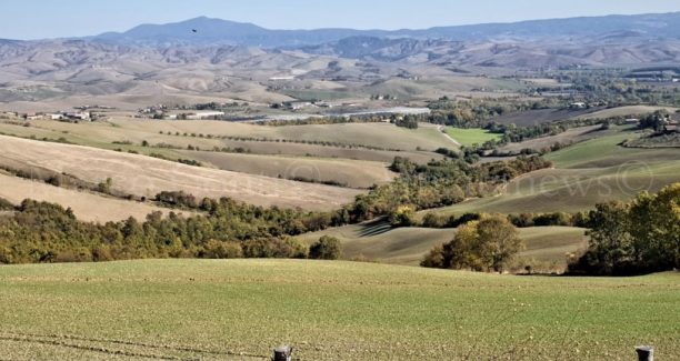 Val_di_Paglia_Campagna_20211027_111719