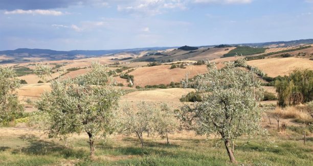 Val_di_Paglia_Campagna_20220805_173807