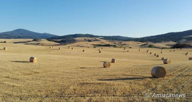 ValdOrcia_IMG_20170706_195216
